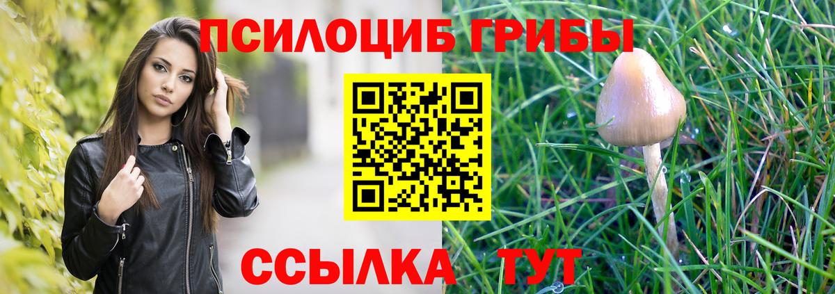 Псилоцибиновые грибы Magic Shrooms Ростов Великий